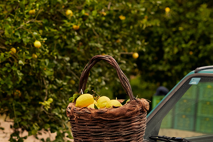 レモントニックウォーター